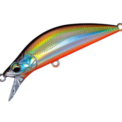 Finetail Eden 50S