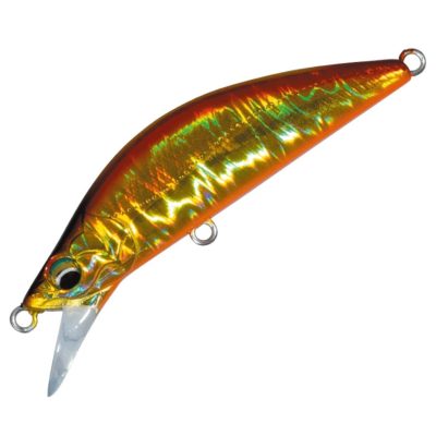 Finetail Eden 50h