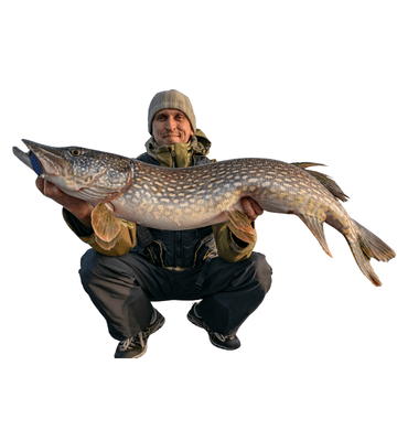 Pesca
