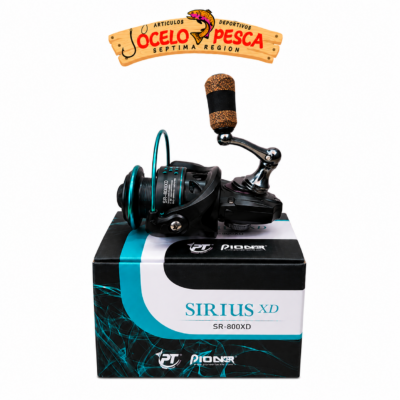 Pioneer Sirius XD-800