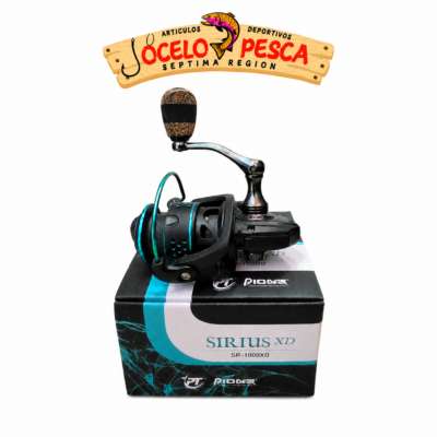 Pioner Sirius XD-1000