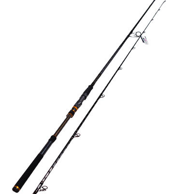 Cinnetic RAYAST XBR Sea Bass 330MH - 3.30m / 40-120g