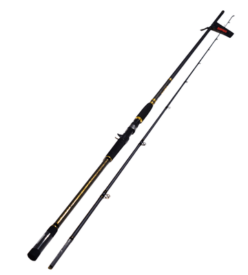 Rapala HALIBUT H Fast 3.04m 20-80g