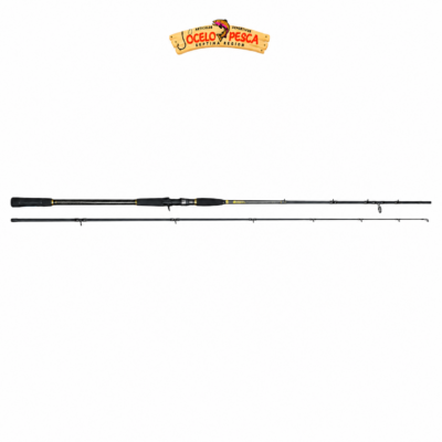 Caña Rapala Halibut Baitcasting 3.25XH (40-100g)