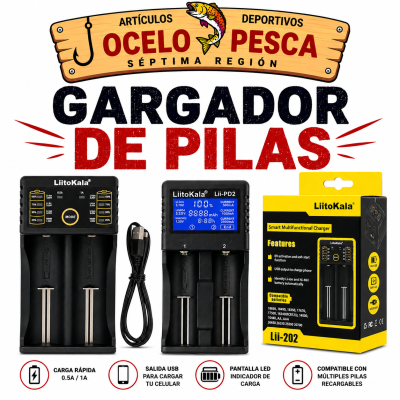 CARGADOR DE PILAS