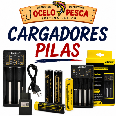 CARGADORES Y PILAS