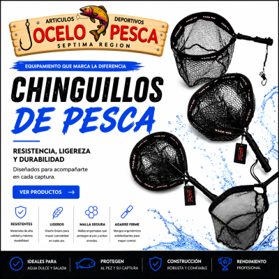 REDES Y CHINGUILLOS