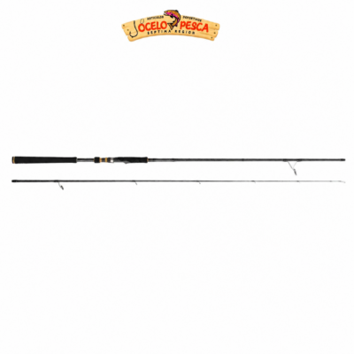 Caña Cinnetic Raycast XBR Sea Bass Light Game 330M (20-70g)