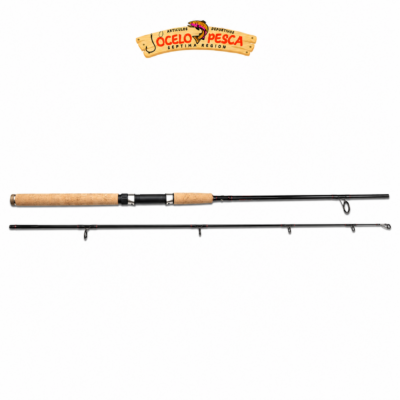 Caña Rapala Volkano 240H (40-80g)